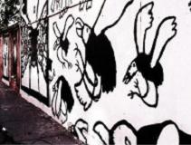 draw graffiti,painting wall murals