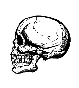skull drawings, gothic