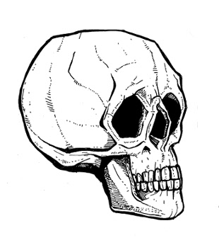 skull drawings,