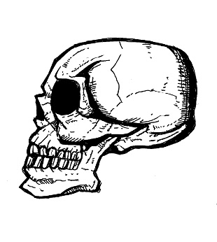 skull drawings, monster
