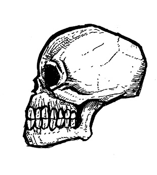 skull drawings, gothic art