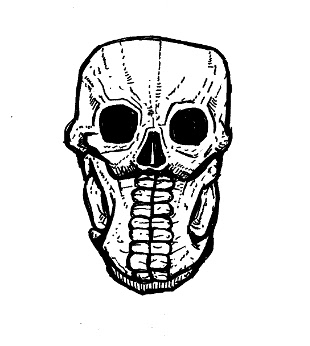 skull drawings,