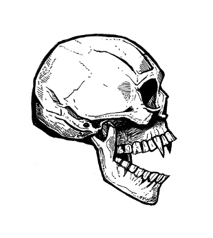 skull drawings, gothic vampires