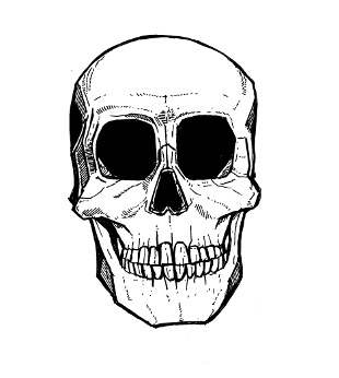 skull drawings,