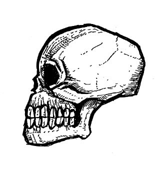 skull drawings, gothic art